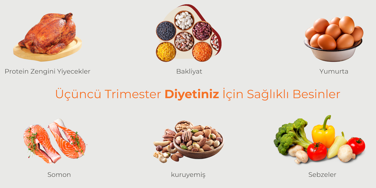3 Trimester – Ne Yemeli ve Nelerden Kaçınılmalı