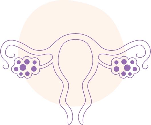 Your last menstrual period